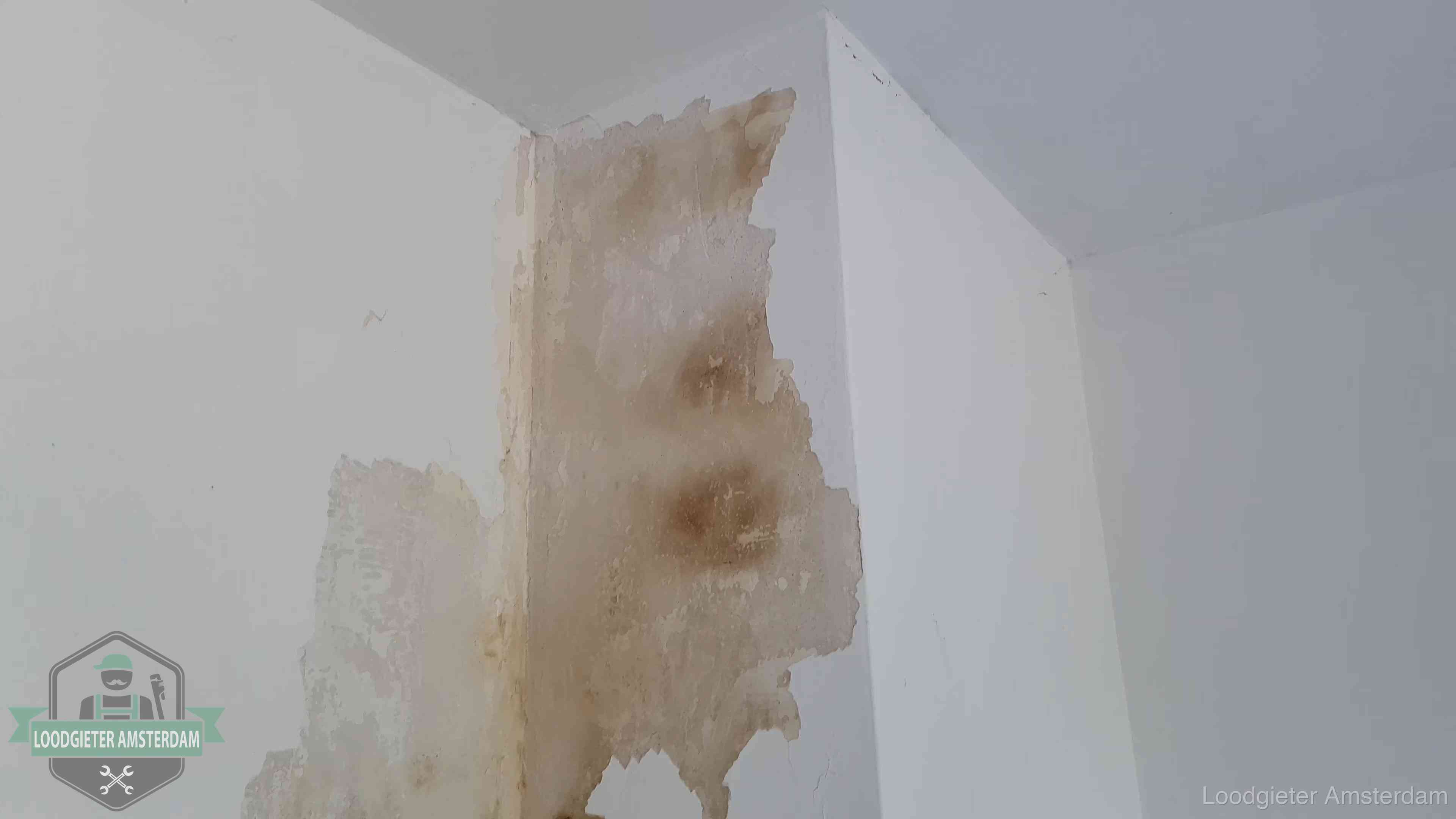 Bruine vochtkringen en afbladderend stucwerk op een binnenmuur in Amsterdam, een eerste teken van daklekkage